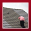 Kaiser Dachservice - Galerie